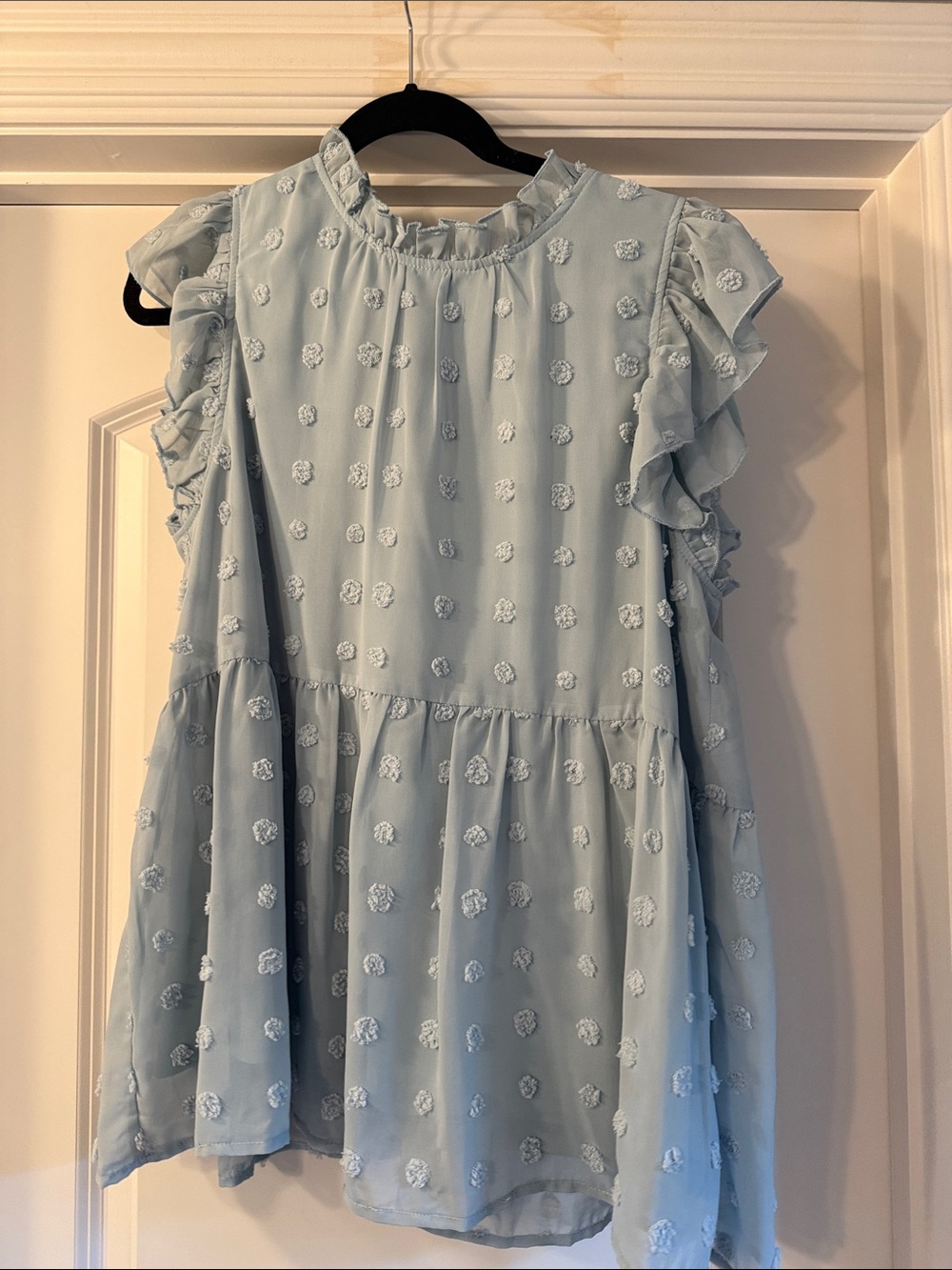 Mint julep boutique m Blue Swiss dot top